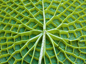 Therapeutische Grundhaltung