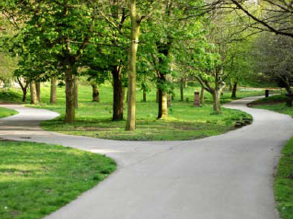 Therapeutische Grundhaltung