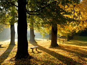 Therapeutische Grundhaltung